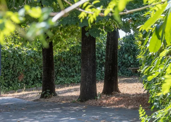 Housmart Berengario 22 * 볼로냐