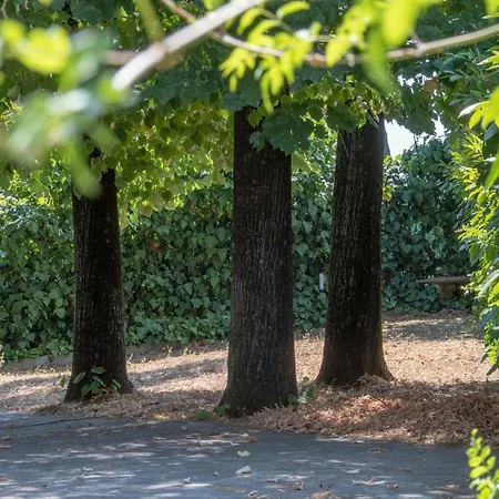 Housmart Berengario 22 * Bolonia